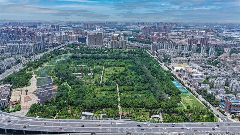1753958209328 微信图片_20250731171603